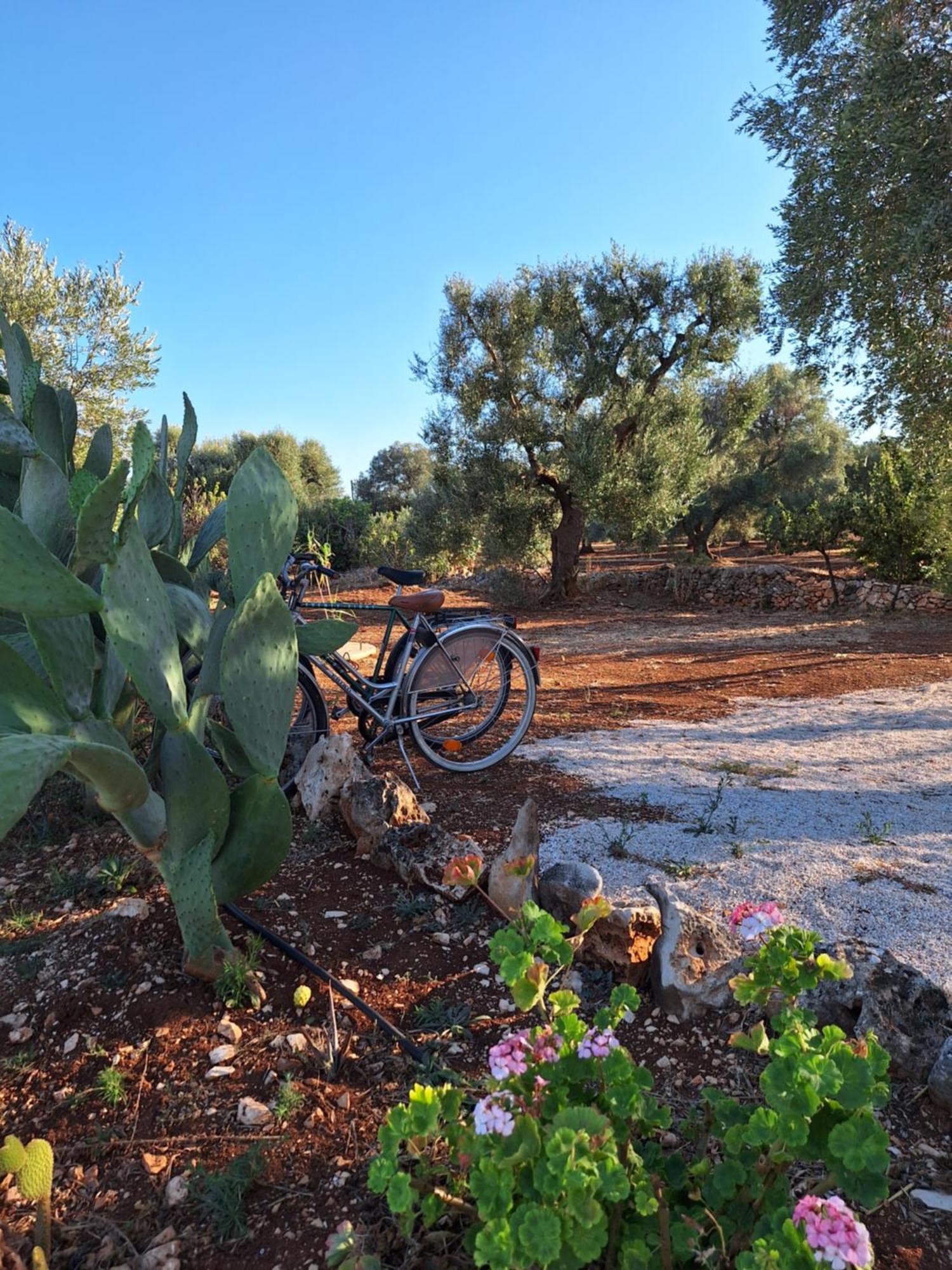 Residenza Anima Mediterranea Francavilla Fontana Eksteriør bilde