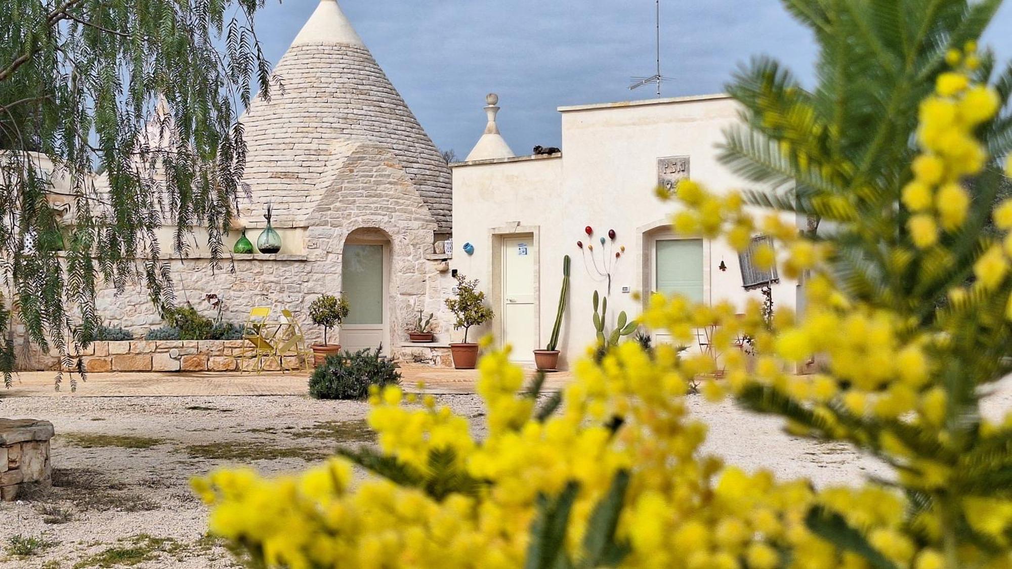 Residenza Anima Mediterranea Francavilla Fontana Eksteriør bilde